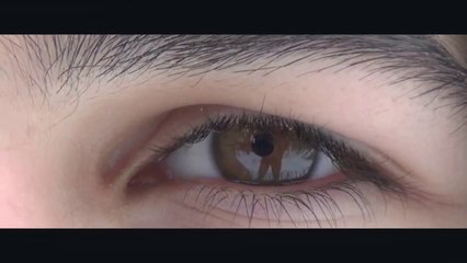 TŘI ŽIVOTY (MINECRAFT, LEGO A REALITA FILM) (2015)