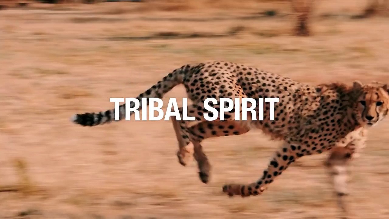 Музыка из рекламы Mango Tribal spirit с Kendall...