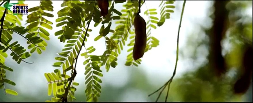 Indian National Anthem, Jana Gana Mana by The Sports Heroes | Sachin Tendulkar, Sania Mirz