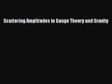Ebook Scattering Amplitudes in Gauge Theory and Gravity Download Online