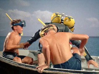 Flipper Season 1 Episode 10: My Brother Flipper