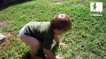 Toddler chases frog like he's a frog - Babies and Animals - toddletale
