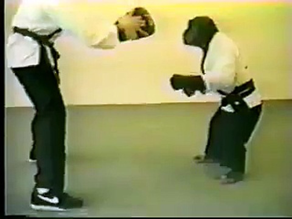 The Karate Monkey video