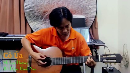 Guitar Cover, Ghita, Cỏ úa, Lam Phương