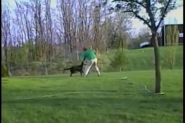 AFV (NEW!) Americas Funniest Home Videos 2012