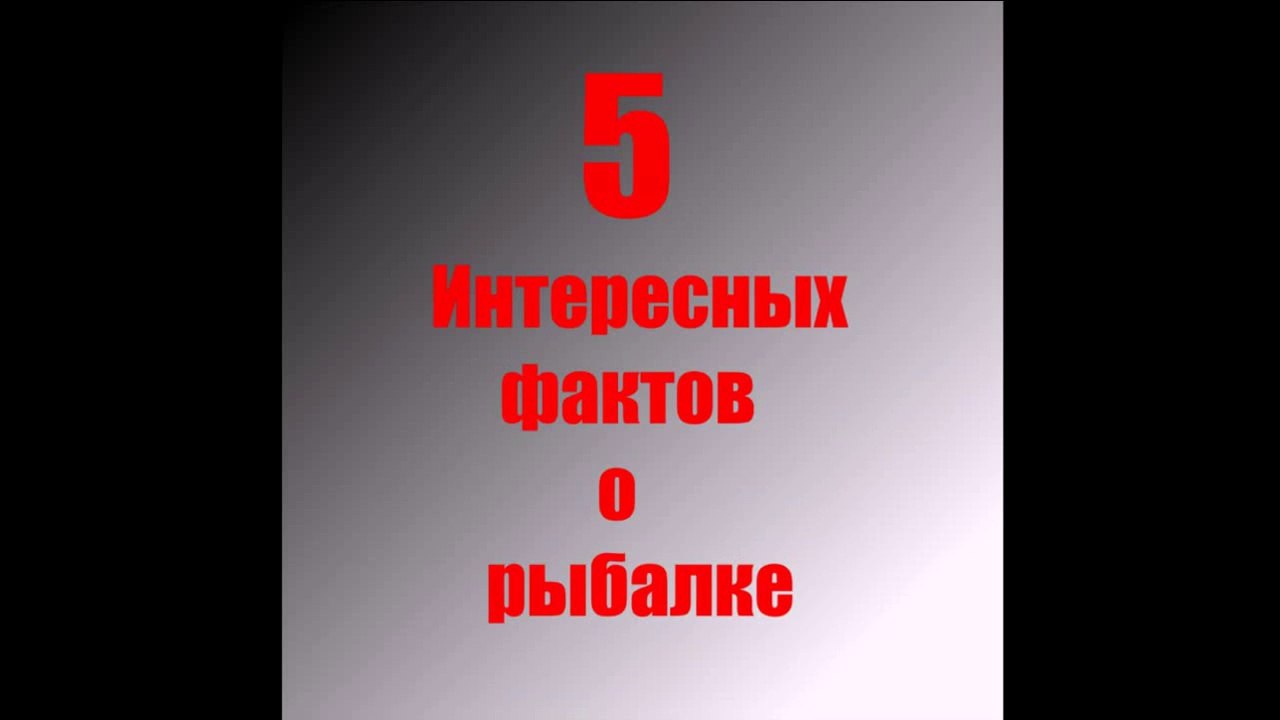 5 интересных фактав о рыбалке