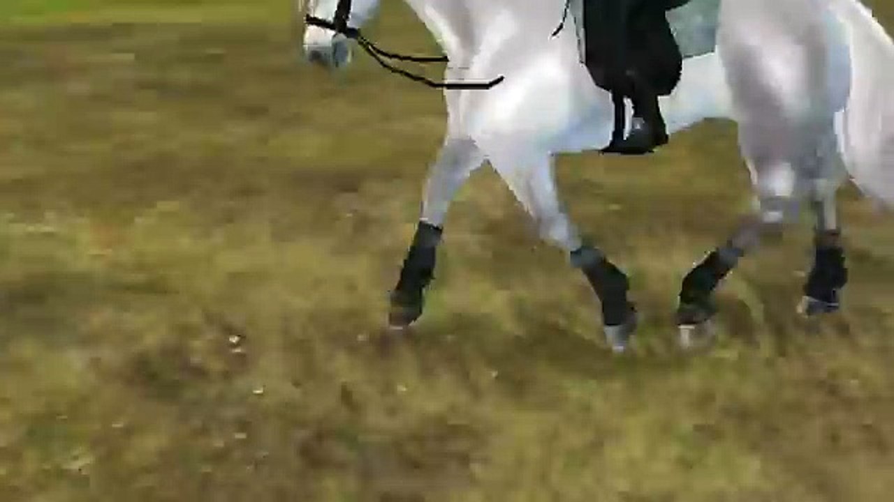 Starstable music video - Monster