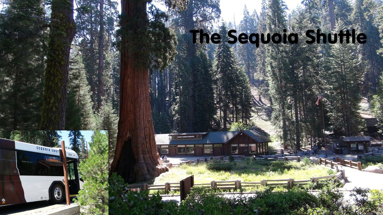 Sequoia Shuttle