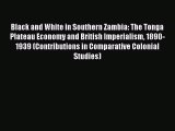 PDF Black and White in Southern Zambia: The Tonga Plateau Economy and British Imperialism 1890-1939
