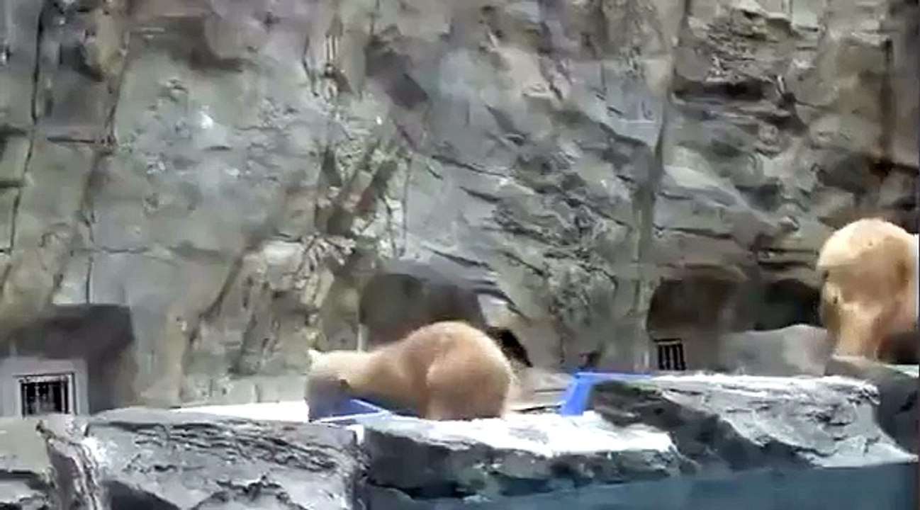 Mother's Love & Care - Fun 4 Everyone