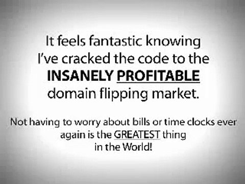 Domainer Elite Flipping Domain Names Software Jamie Lewis