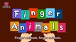 Finger Animals  Number Songs  PINKFONG Songs for Children