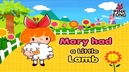 Mary Had a Little Lamb  Best Kids Songs  PINKFONG Songs for Children