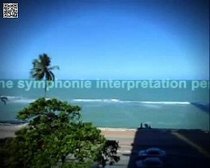 Comme une symphonie D'amour (Miriam Makéba) interpretation p