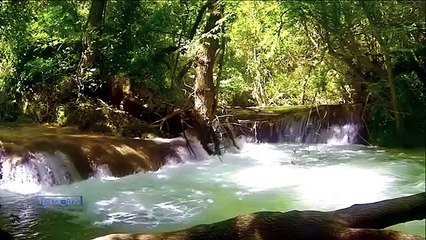 Spirit Of The Earth - Stive Morgan