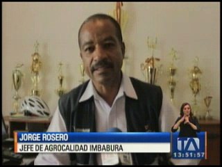 Prisión preventiva por falsificación de guía de movilización de animales