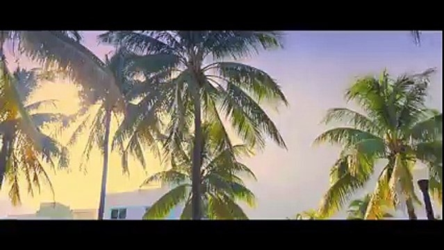 DJ KAYZ FEAT GRADUR - COLLER SERRER