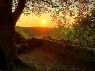 Müziğin Ruhu - Mükemmel bir müzik keyfi..