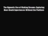 [PDF] The Hypnotic Use of Waking Dreams: Exploring Near-Death Experiences Without the Flatlines