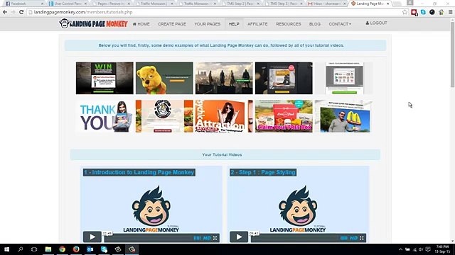 Traffic Monsoon System - Landing Page Monkey Offer
