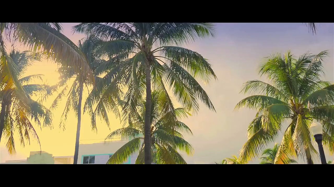 DJ KAYZ FEAT GRADUR - COLLER SERRER