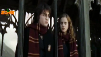 valentine's day Harry Potter Tezabi Totay 2015