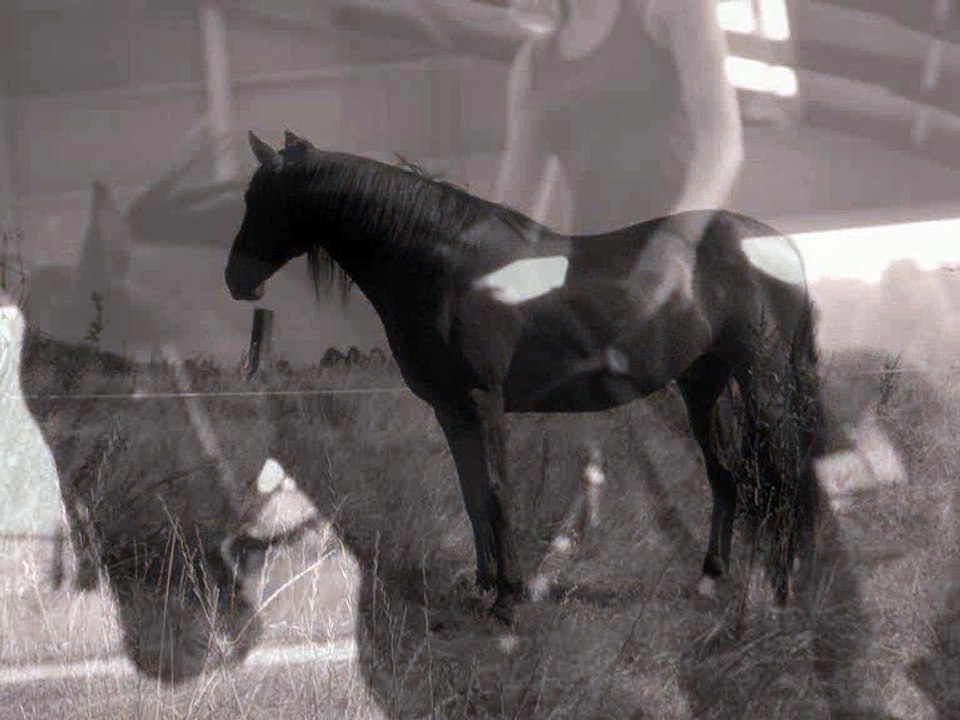 Des souvenirs inoubliables ...