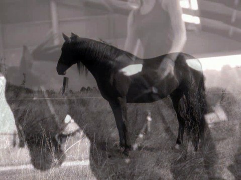 Des souvenirs inoubliables ...