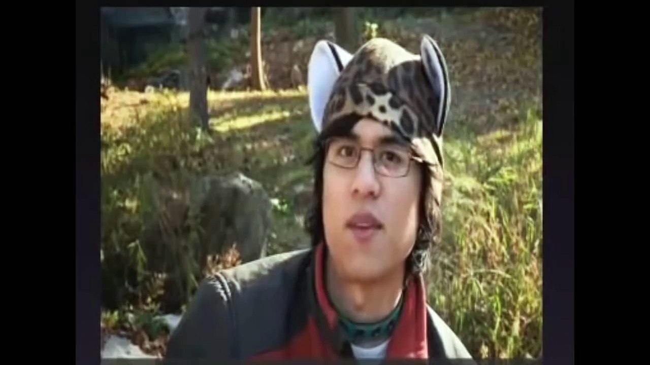 On all levels except physical, I am a wolf