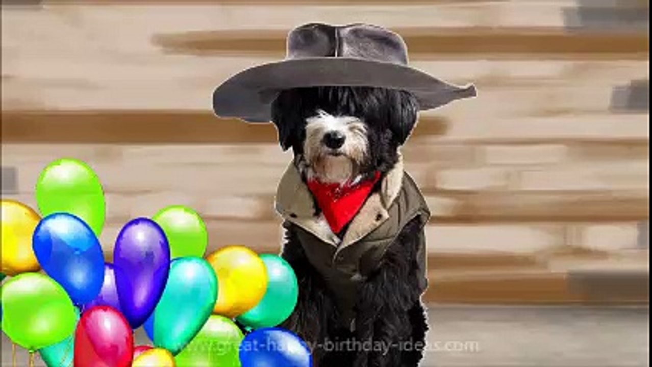 Fun Happy Birthday Wishes!