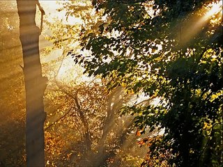 Démonstration de l'existence de Dieu et raisons de croire chrétiennes