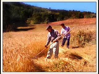 Aşık Kul Nuri - Nasıl unuturum Gümüşhaneyi