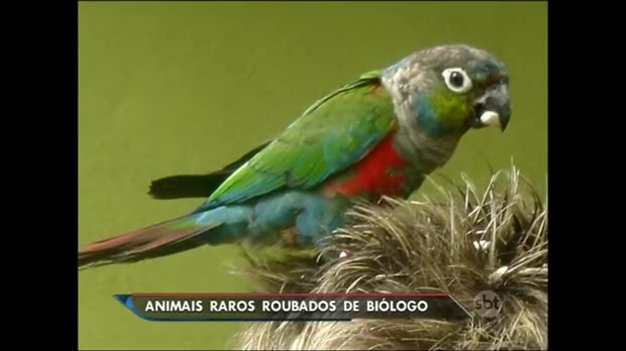Bandidos invadem casa do biólogo Sergio Rangel e roubam 23 animais raros