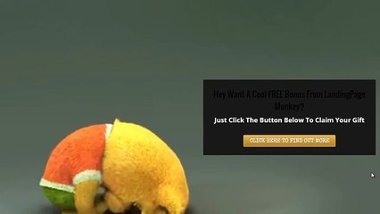 Landing Page Monkey Demo