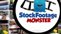 Stock Footage Monster