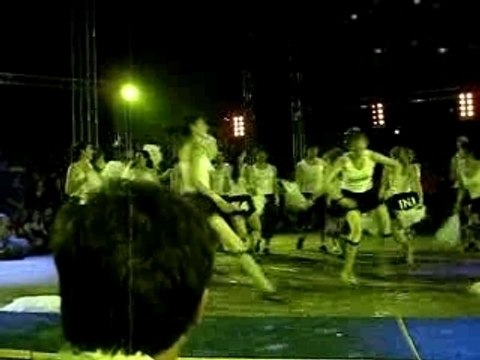 Les sulfureuses pompoms de l'ina