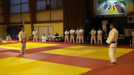 Démonstration Go no sen no kata- Cérémonie des voeux du Comité 13 Judo- Sausset les Pins 01 2016