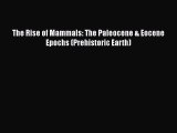 Read The Rise of Mammals: The Paleocene & Eocene Epochs (Prehistoric Earth) Ebook Online