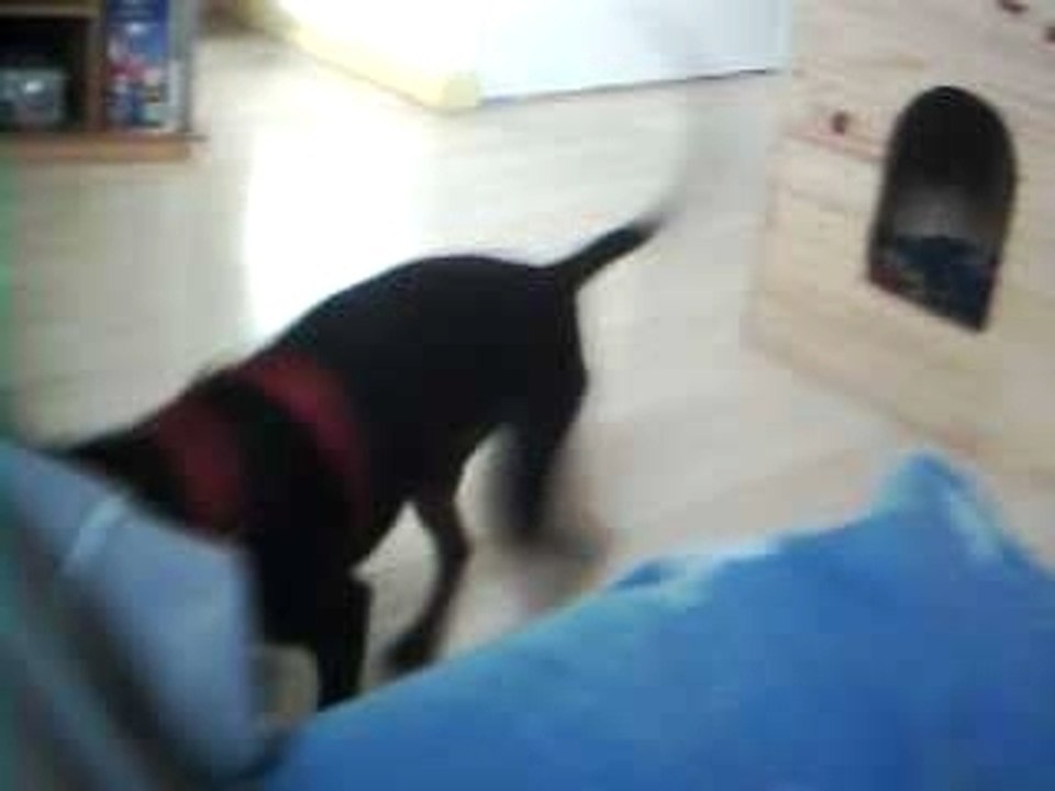 c la fete o pouic pouic