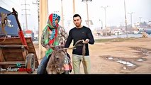 husband and wife both on donkey nice video