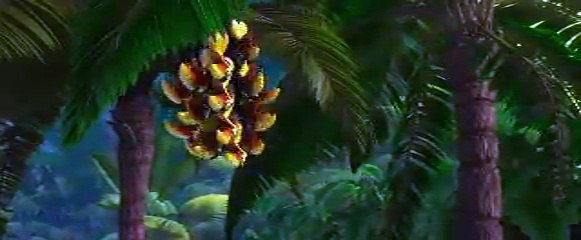 beautiful and colour full birds :::