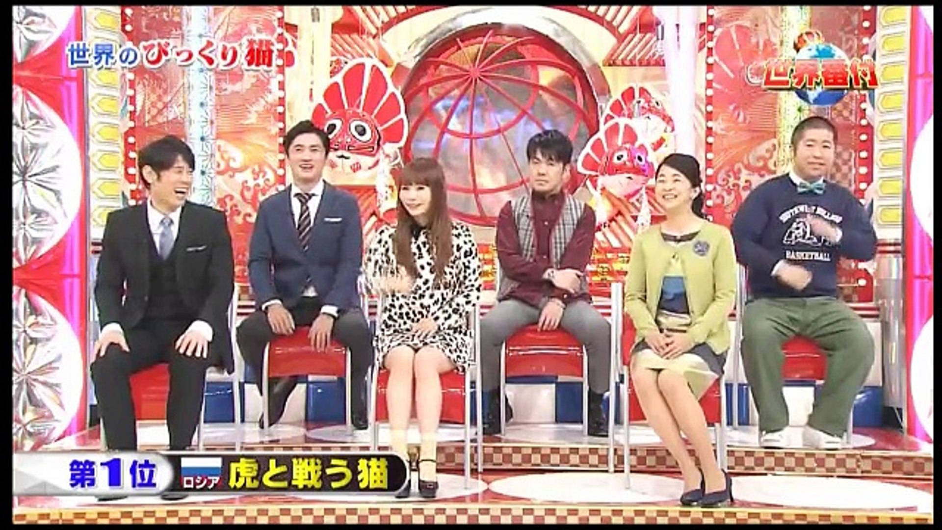 ネプ イモトの世界番付 世界の激かわネコsp 2月19日 動画 Dailymotion