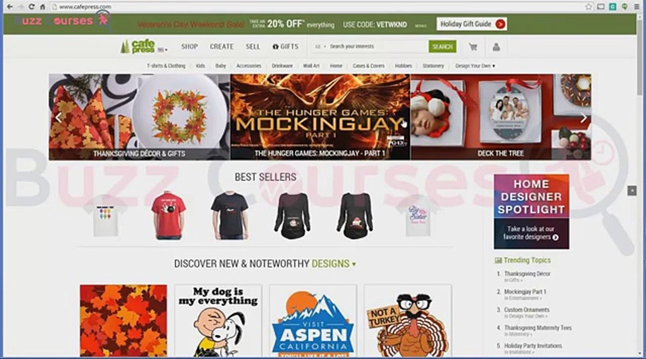 Teespring Profits | Lecture 2 - How to Find Hot Trends and Niche Markets to Profit from