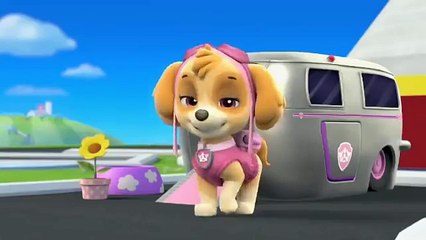 Щенячий Патруль - Скай