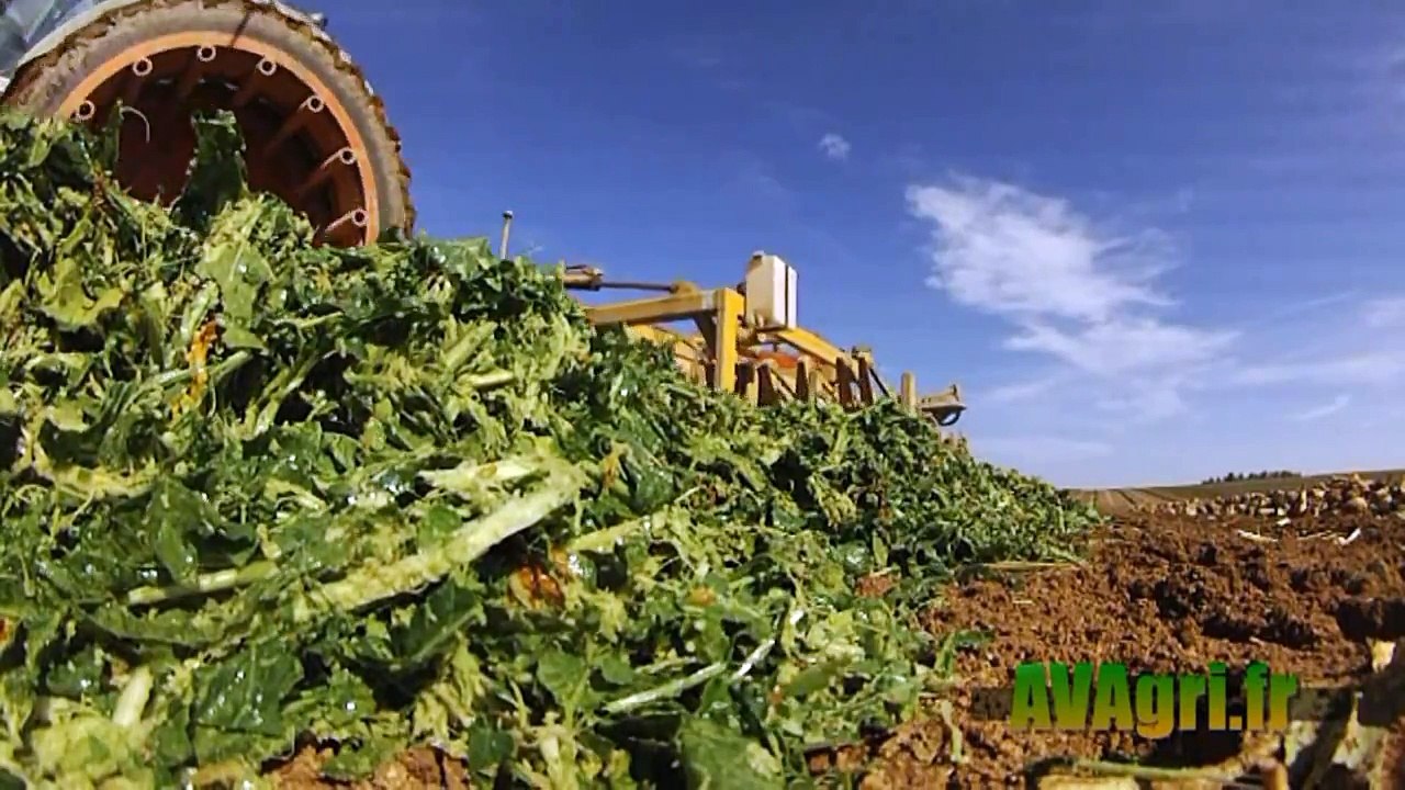 DB75 de JPS à la récolte de betteraves en 2012