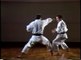 Técnicas de Karate de Masahiko Tanaka