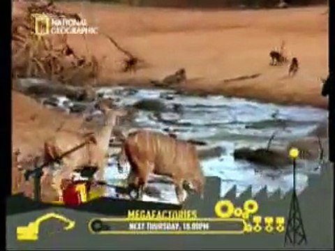 کیا انسان ایک دوسرے کی ایسے مدد کرتے ھیں؟ National Geographic Most Amazing Moments