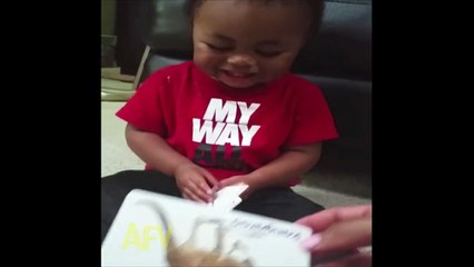 Adorable Boy Only Laughs At Donkeys