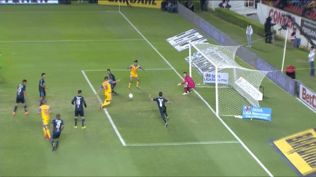 Mexique - Gignac en renard des surfaces