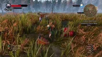 The Witcher 3: Wild Hunt location find sword level 10 and diagram CHORT LURE